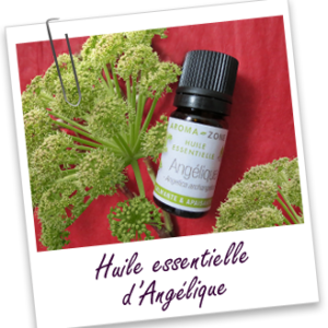 Huile essentielle d'Angélique