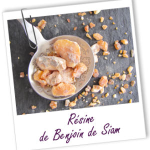 Résine de Benjoin de Siam